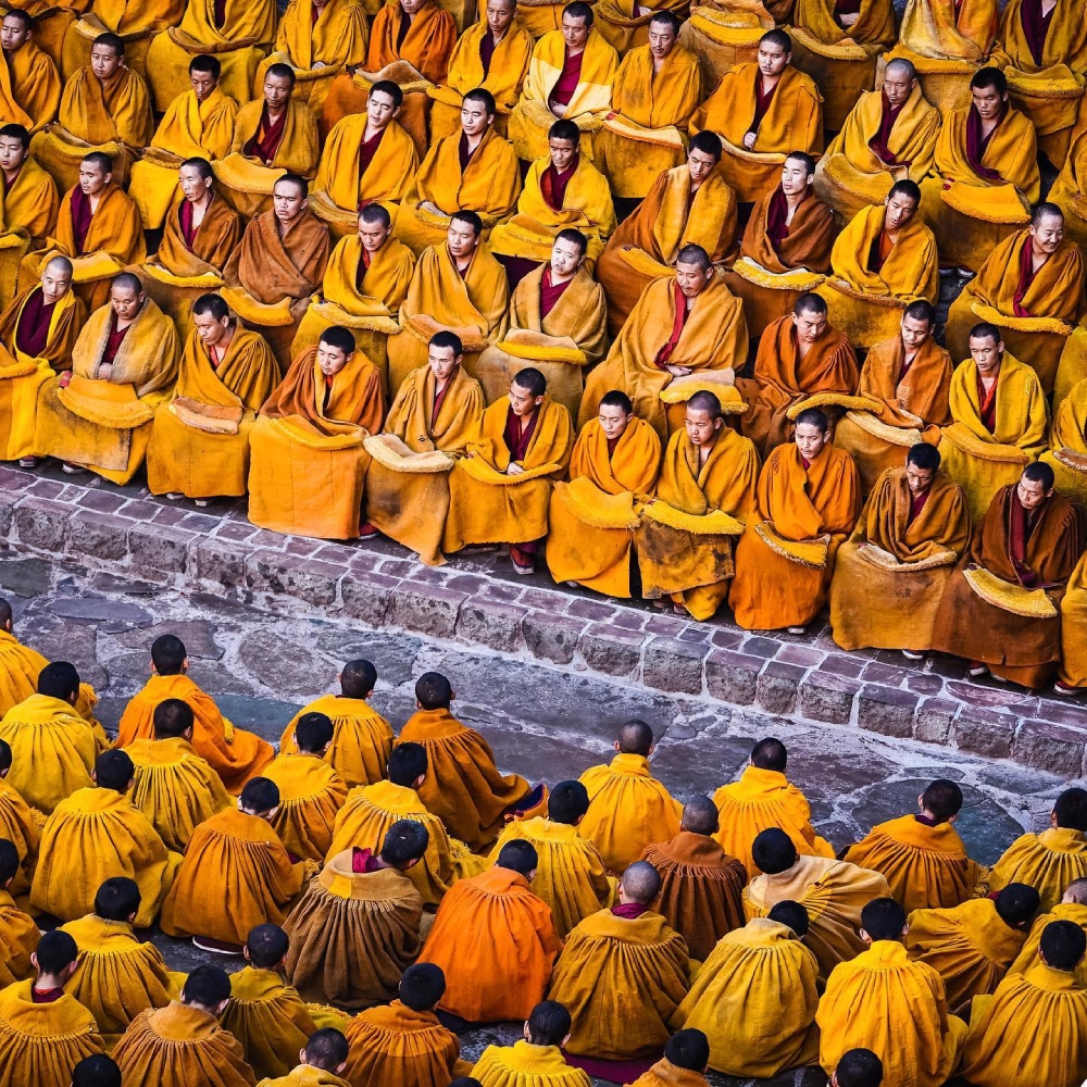 Monks In A Meet In Tibet