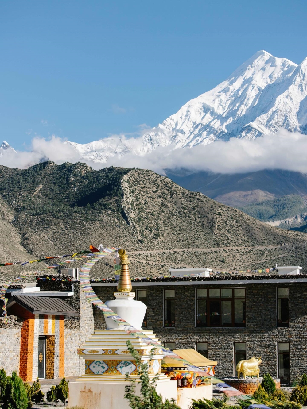 Views Of Himalaya From Mustang