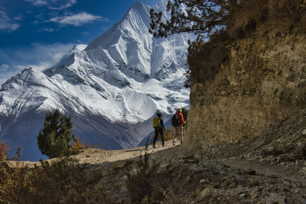 trekkers-walking-on-the-trail-of-annapurna-with-the-backdrop-of-nilgiri.png