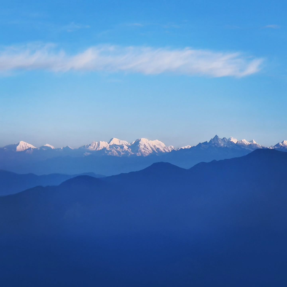 Viewpoint Shows In Pikey Peak
