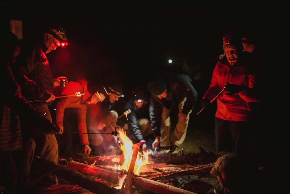 Travellers Doing Barbecue In The Fire