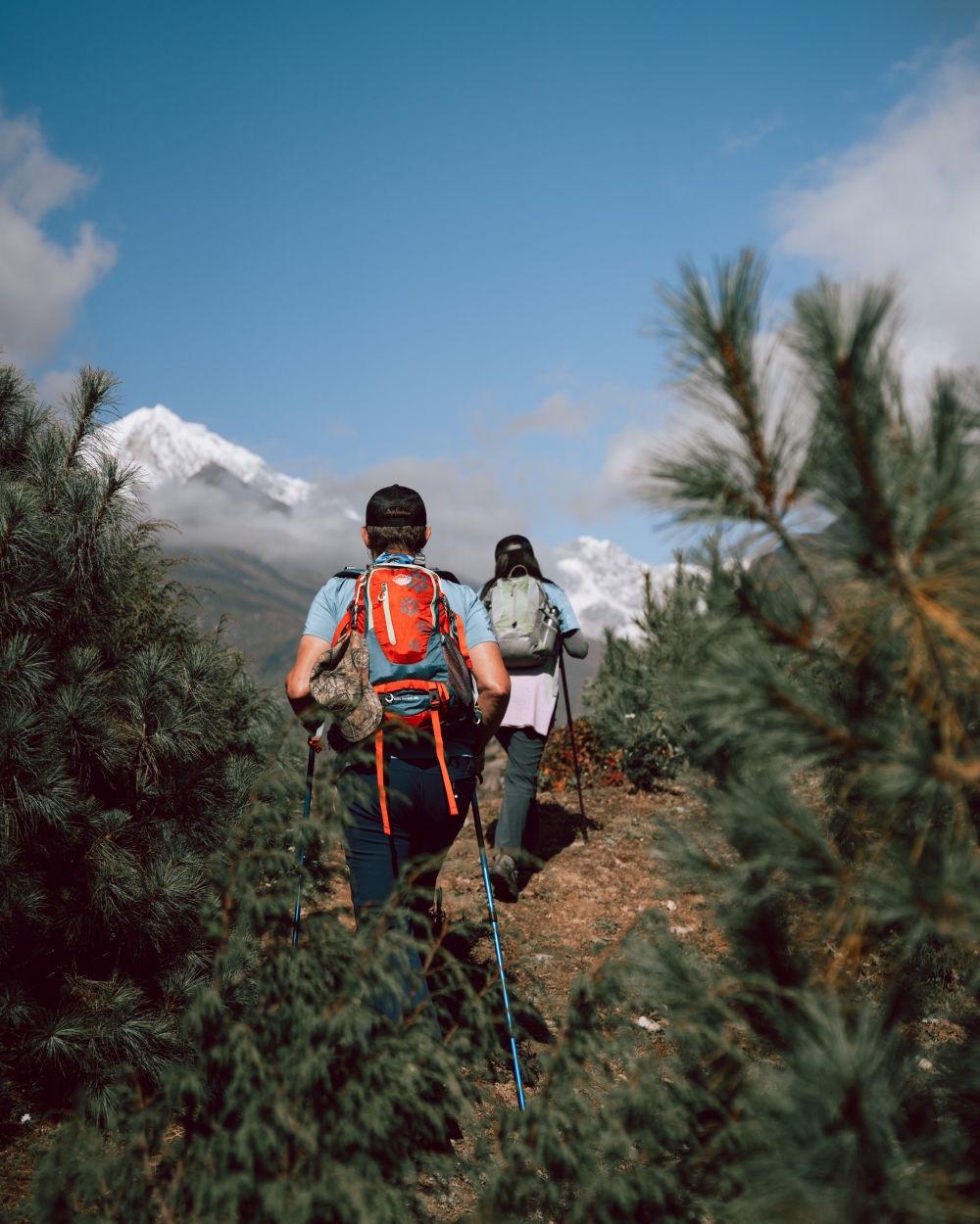 Everest Base Camp Trekking Trail