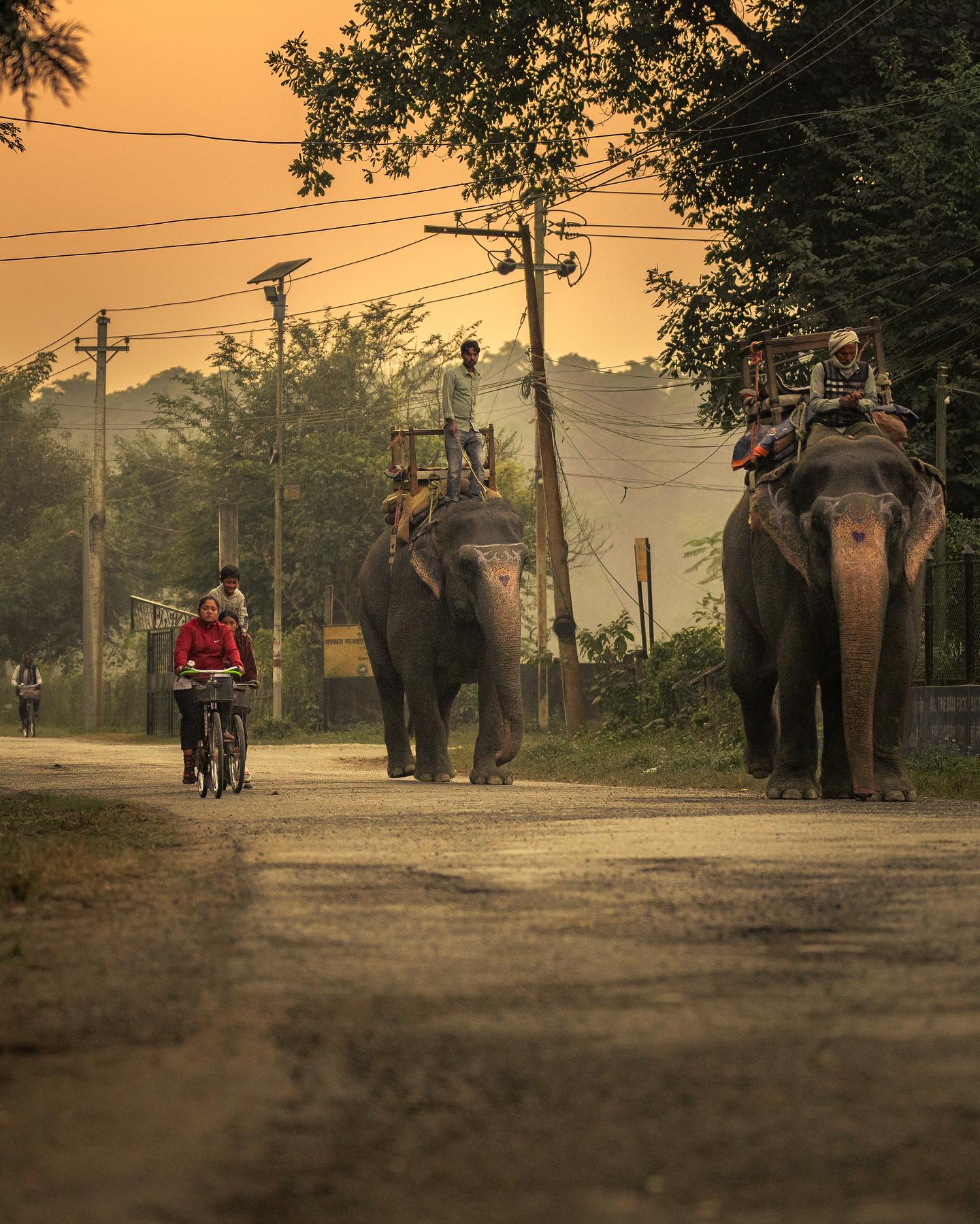 Observe The Tharu Life In Chitwan Cj Karki